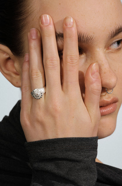 Gone with the Wind . Disintegrate Ring