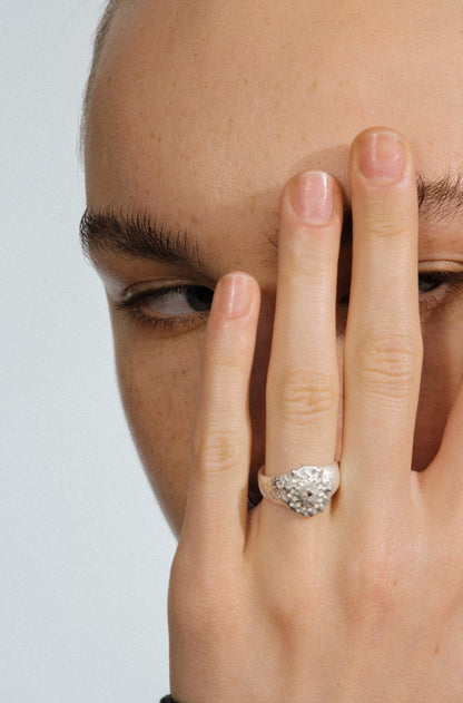 Gone with the Wind . Disintegrate Ring